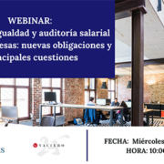 Planes de igualdad y auditoría salarial en las empresas: nuevas obligaciones y principales cuestiones